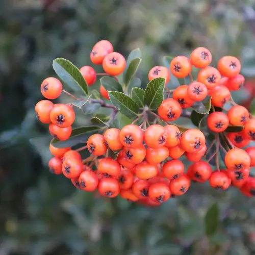 조경기능사 자격증 시험일정