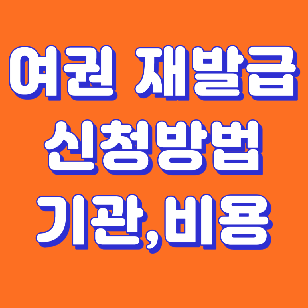 여권재발급 온라인 신청