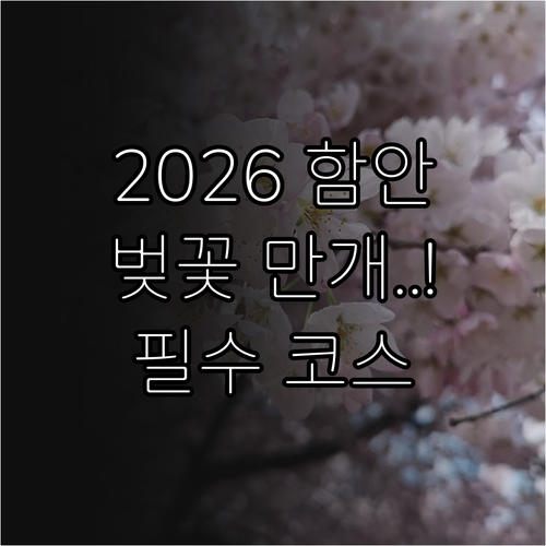 2026 함안 벚꽃 만개 시기 예측 ..