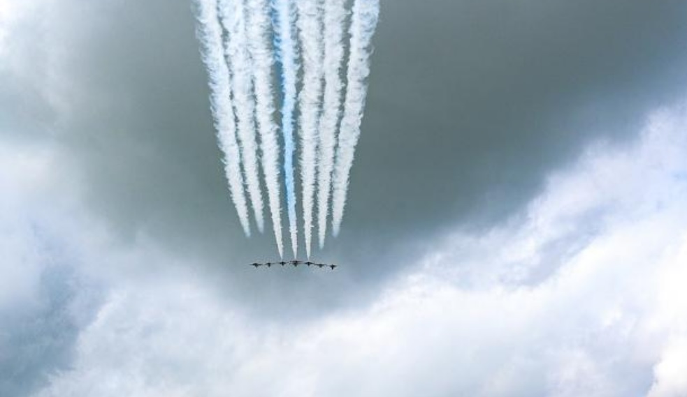 세종 복숭아 축제