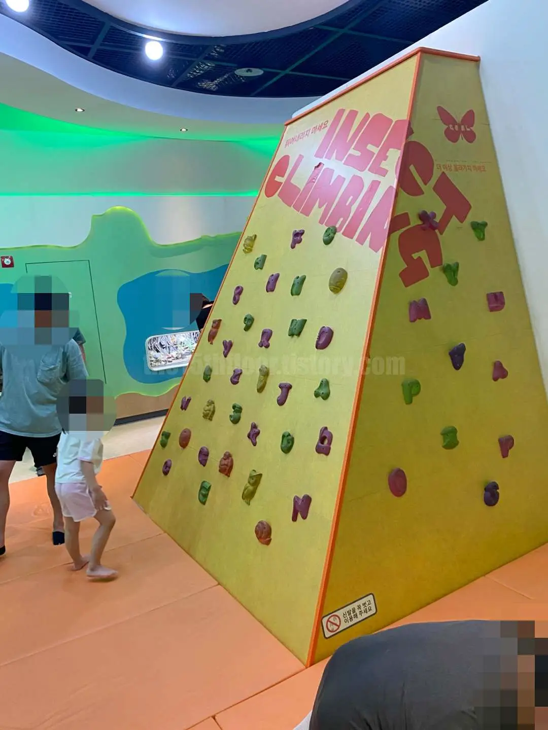 경남 의령 &amp;#39;의령 곤충생태학습관&amp;#39; (1층&amp;#44; &amp;#39;곤충 세계관&amp;#39;)