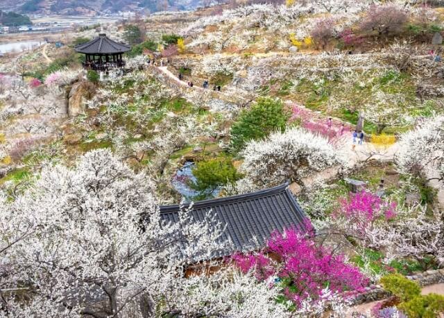 광양 가볼만한곳 베스트 10