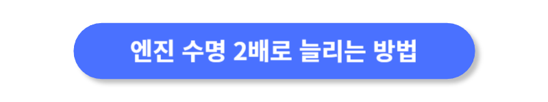 버튼