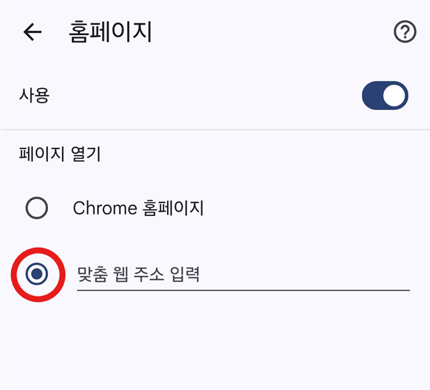 방법 5, 6: 맞춤 웹주소 선택하고 원하는 사이트 주소 입력하기