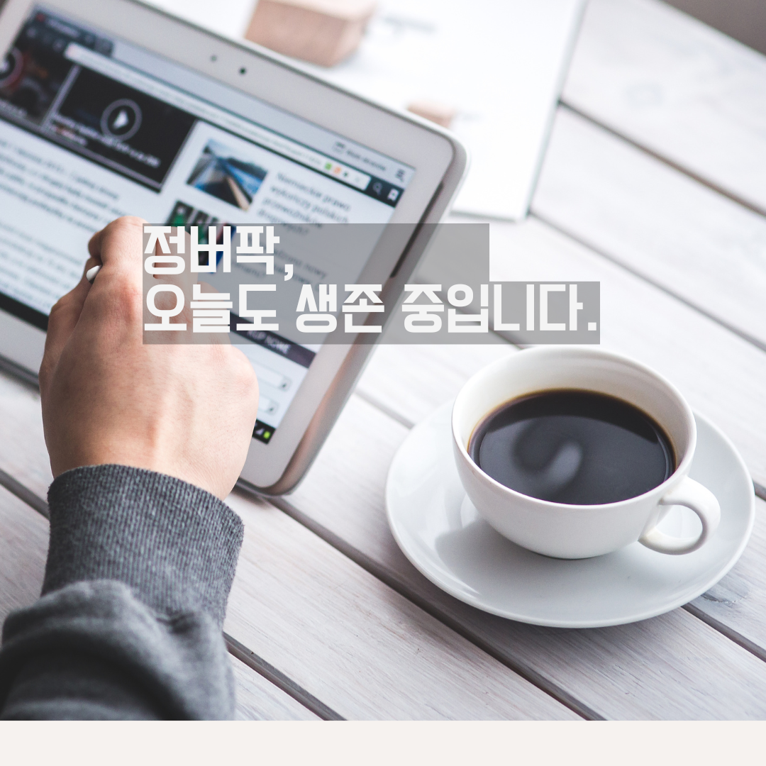 정부24부터 국민신문고까지, 마흔 이후에도 ‘할 수 있는 기술’