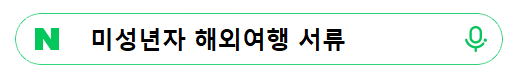 네이버 검색창 미성년자 해외여행 준비 서류 검색 이미지