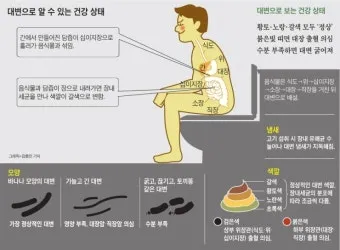 가는 똥 이유와 똥이 가늘게 나오는 이유 분석_18