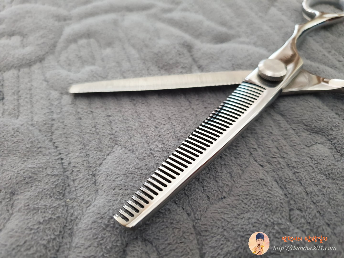 빗처럼 홈이 나있는 한쪽 날