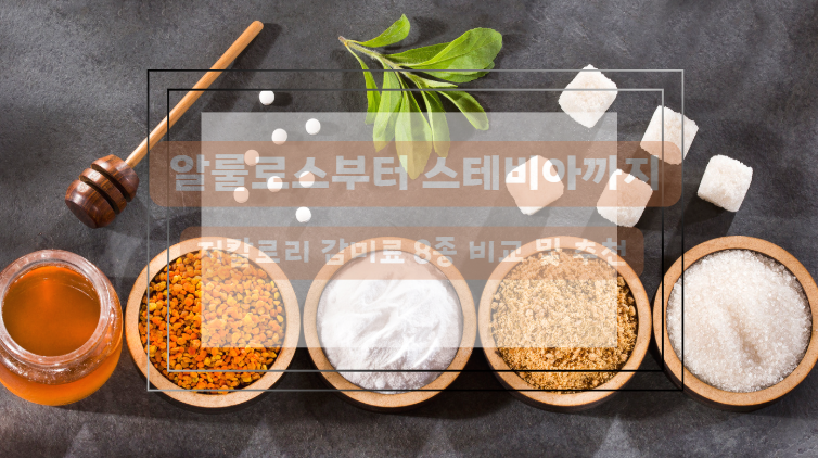 저칼로리 감미료 선택팁