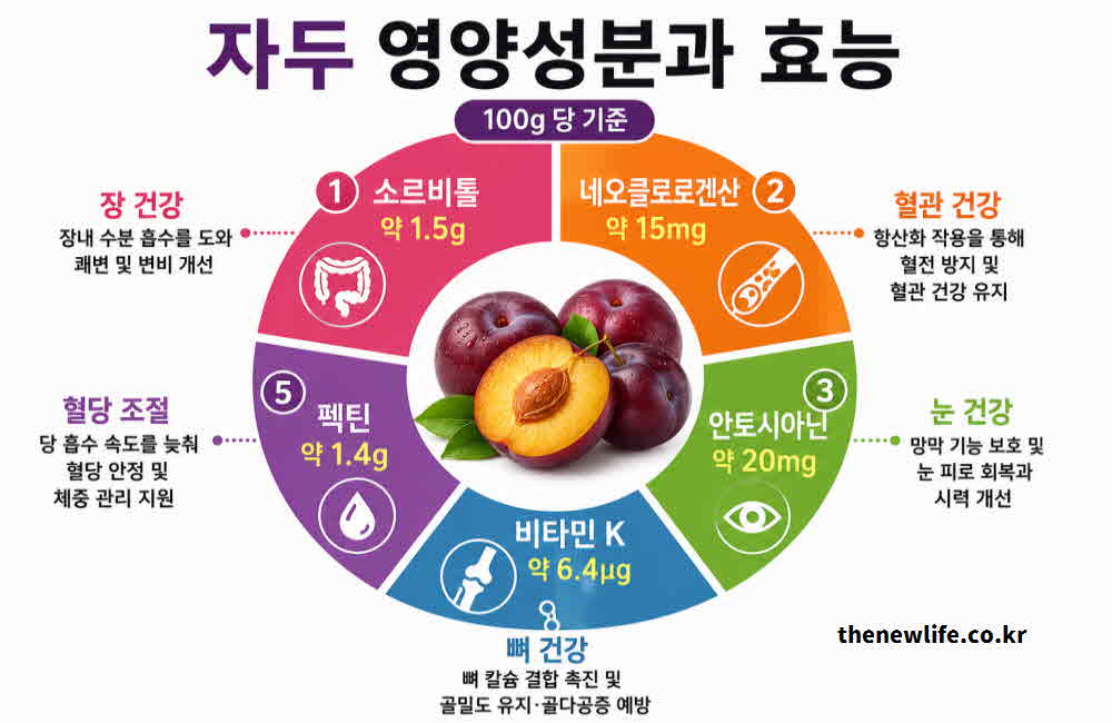 자두 효능 영양성분