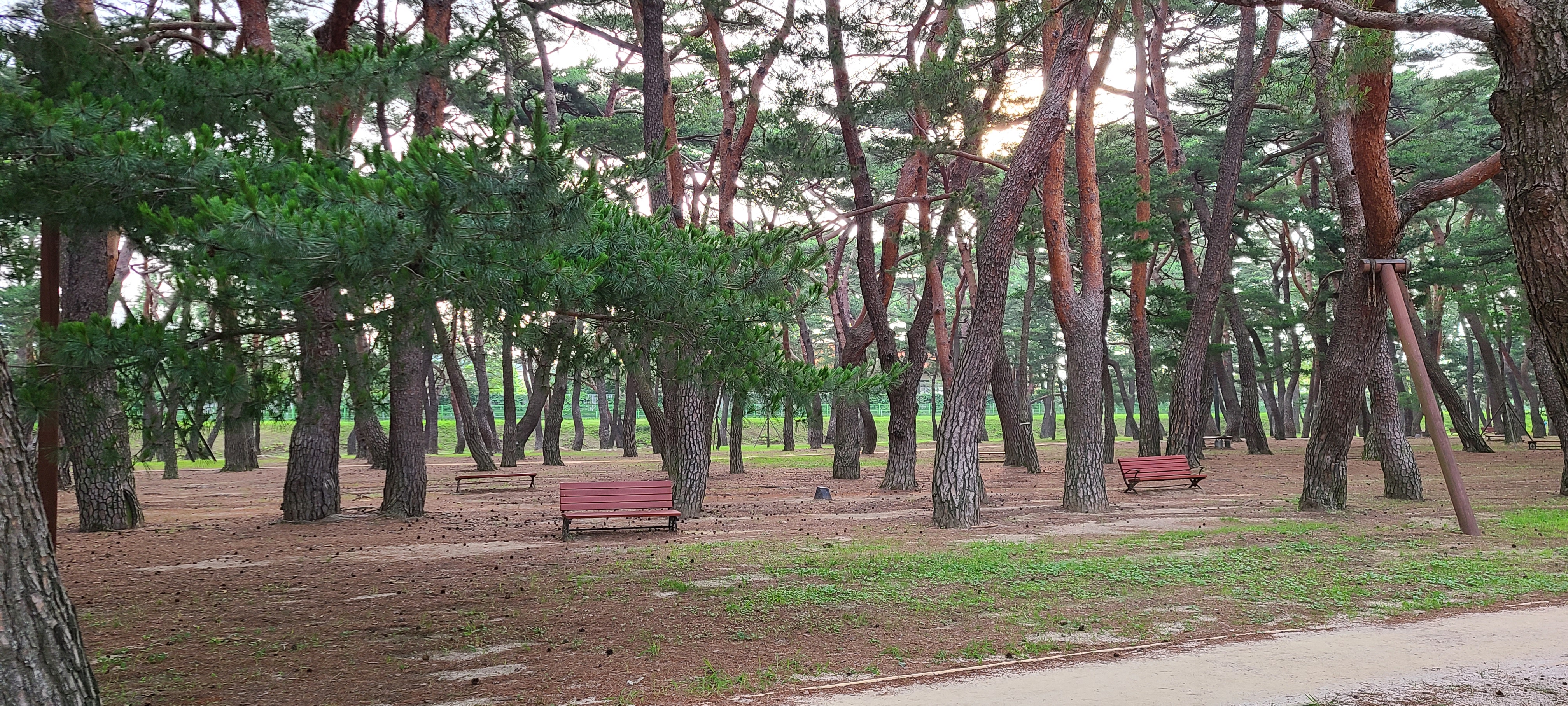 하동 가볼만한곳 베스트10