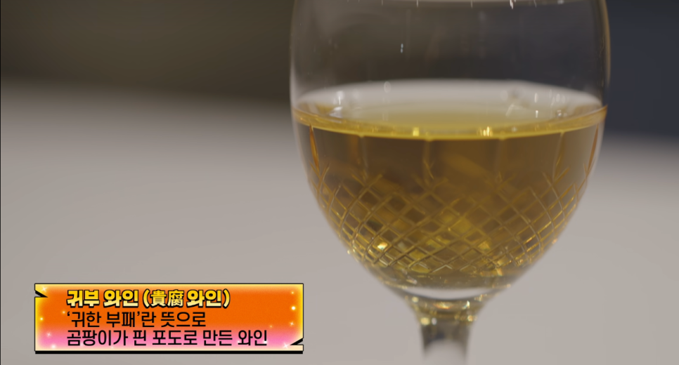 넷플릭스 예능: 고로상 Pick! 성시경도 반한 미친맛집 일본 최고의 탄탄면&치즈케이크