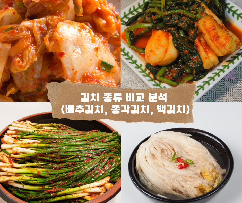 김치 종류 비교 분석 (배추김치, 총각김치, 백김치)