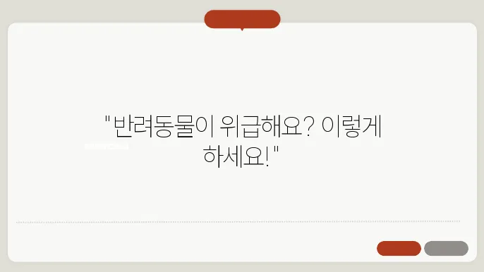 반려동물 응급상황 대처법