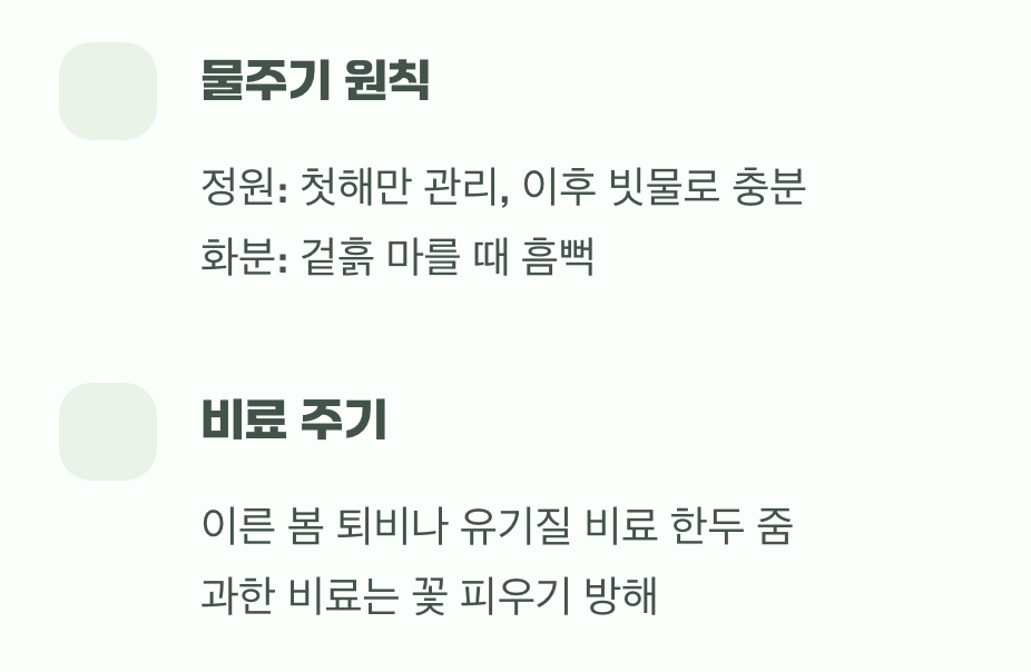 4. 물과 양분, 과하지 않게 꾸준하게