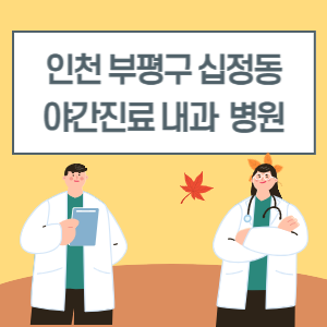 부평구 십정동 야간진료 내과 병원 리스트 (18시 이후 늦게까지하는 병원)