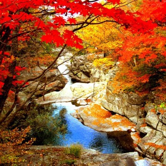 지리산 피아골 단풍