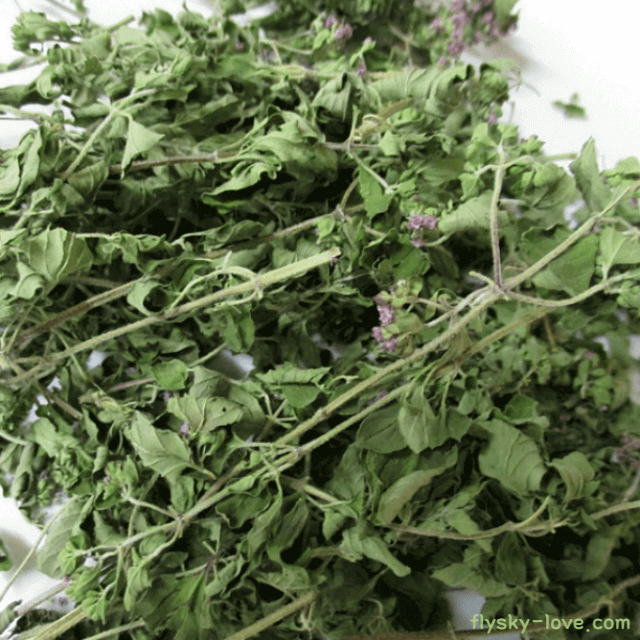 오레가노 (Oregano), 오레가노 오일