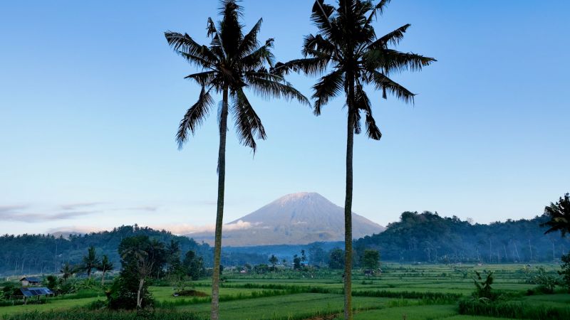EBS '왔다! 내 손주'