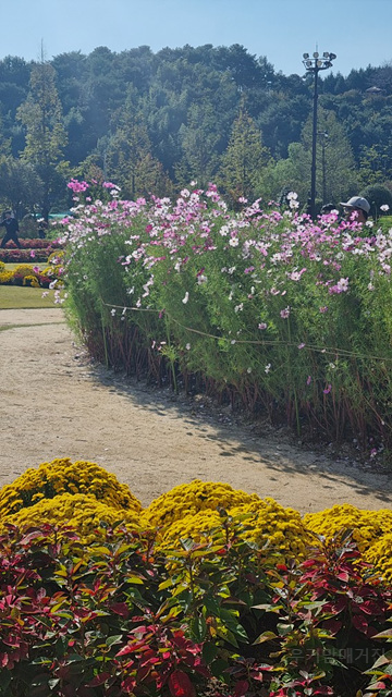 2025 순천만 국가정원 순천여행 맛집 현지인 추천 맛집 순천만 숙박