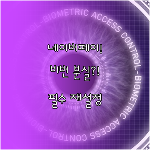 네이버페이 비밀번호 정기 변경 방법 ..