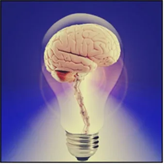 뇌진탕 초기 증상 후유증 으로_2