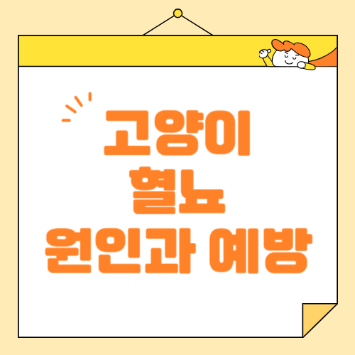 고양이 혈뇨 원인, 증상, 그리고 대처 방법