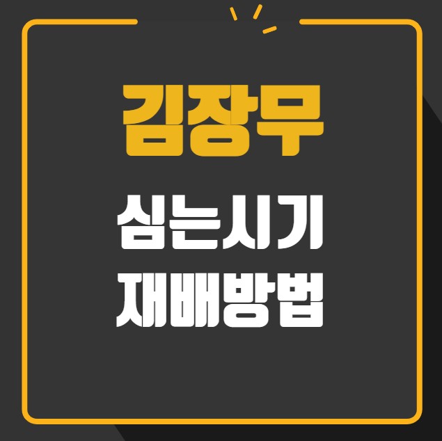 김장무 심는 시기 재배 방법