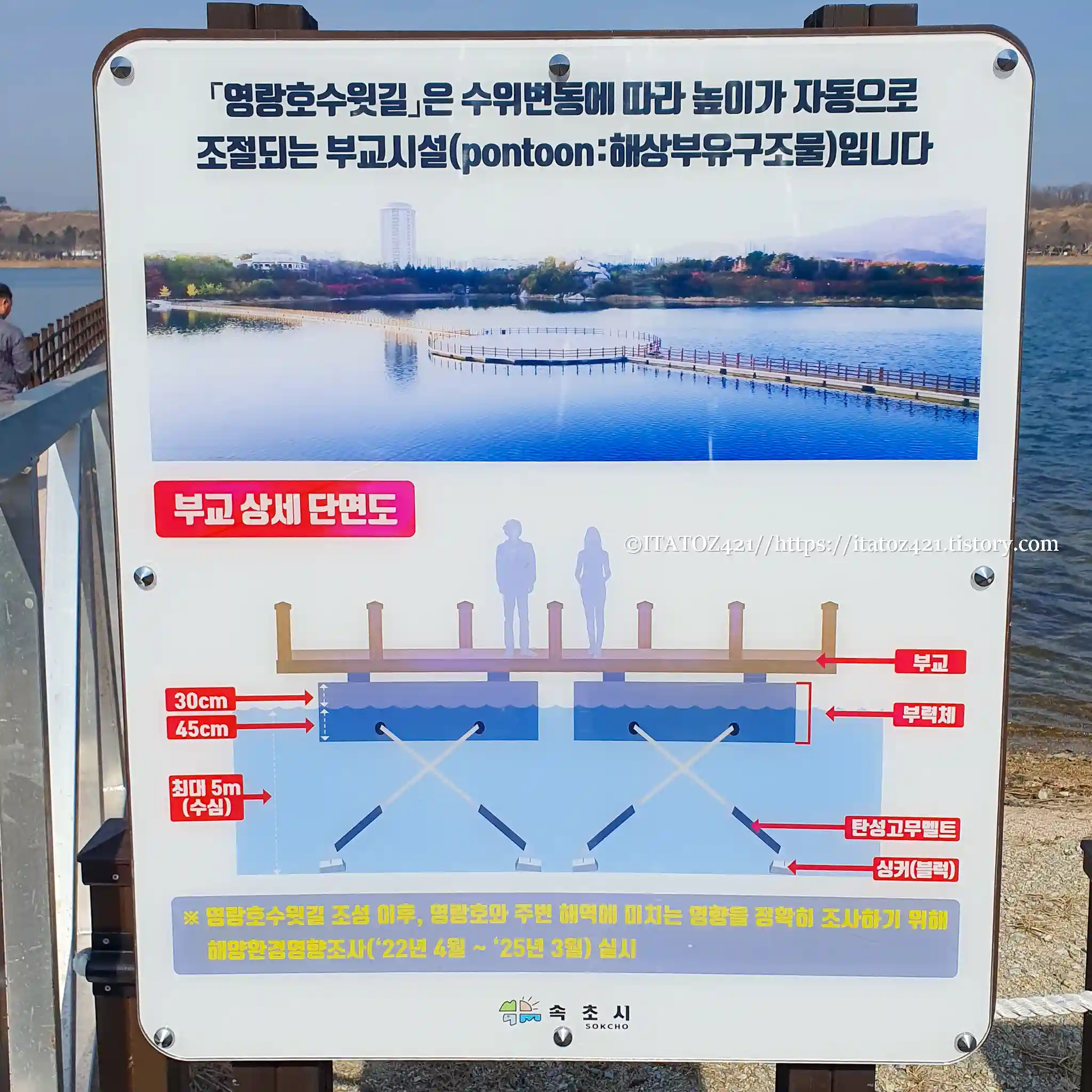 영랑호 부상교