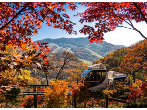 화담숲 모노레일 가격 예약 단풍시기