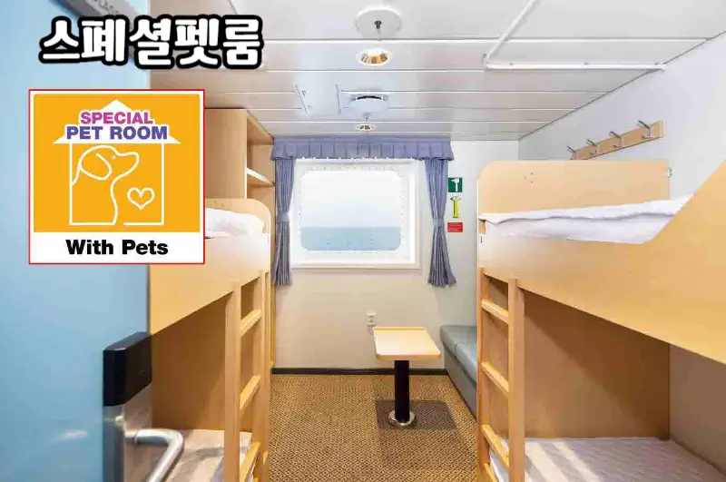 실버스텔라호-객실-스폐셜펫룸