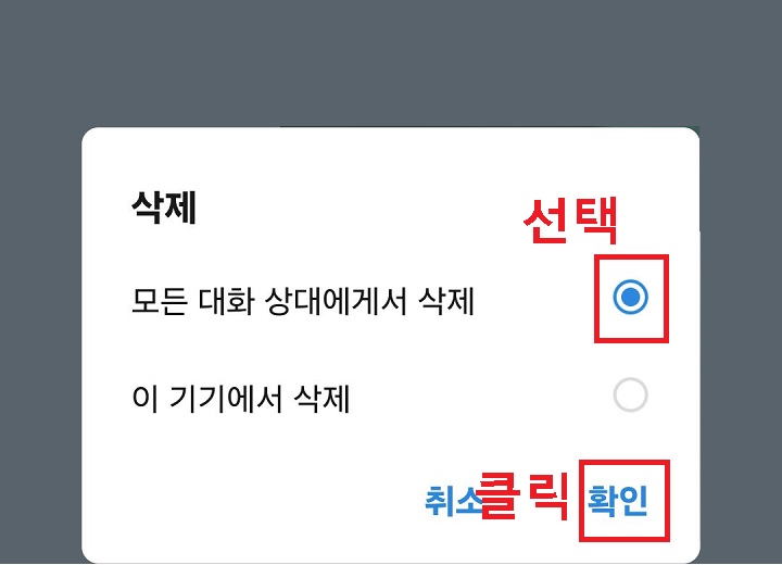 모든 대화 상대에게서 삭제를 선택함