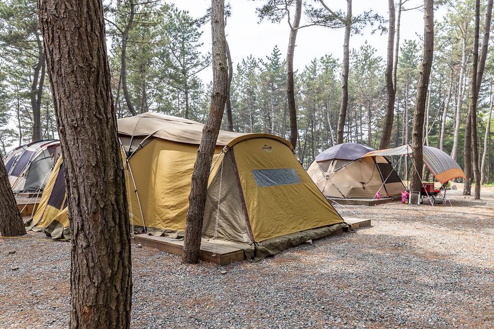 충남 서천 장항오토캠핑장 소개