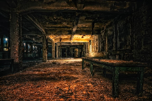 더라스트오브어스시즌2 관련 사진