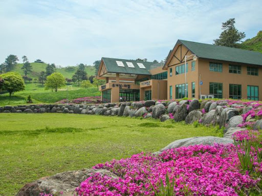 3월 국내 여행지 추천