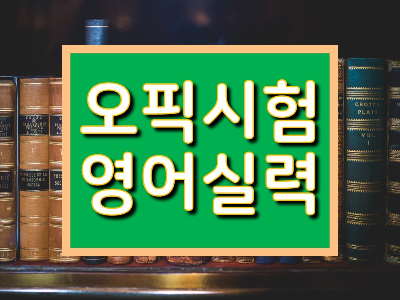 오픽영어실력