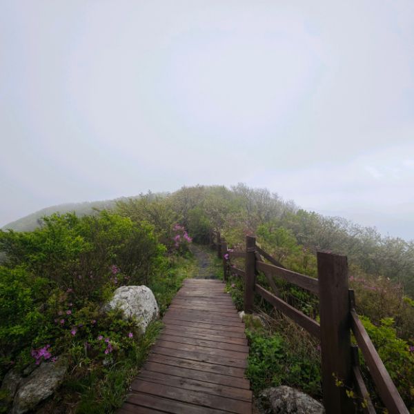 두륜산