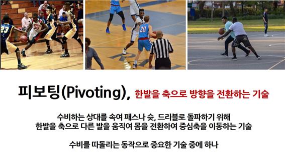피보팅 관련 이미지