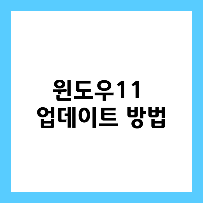 윈도우11 업데이트 방법