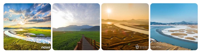 순천만 습지의 사계절 풍경과 생태 탐방길