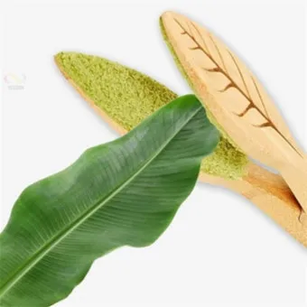 잎닦기 관리 미세먼지제거 광합성도움 우유물사용 주의점_12