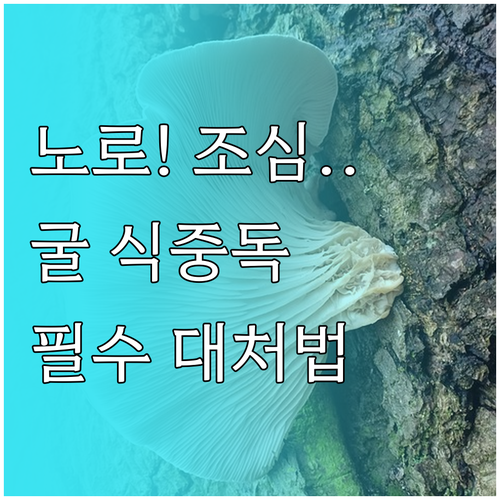 굴 식중독 노로바이러스 비브리오균 예..