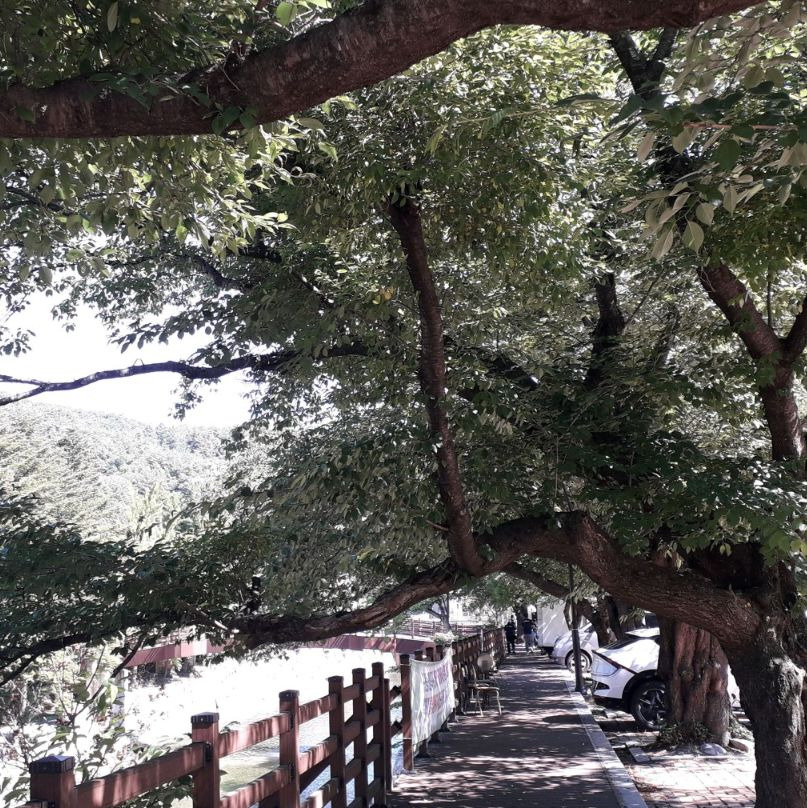 구천동계곡