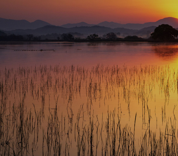 우포늪-검은-바위-전설-탐방-코스-주차-대중교통-가는법
