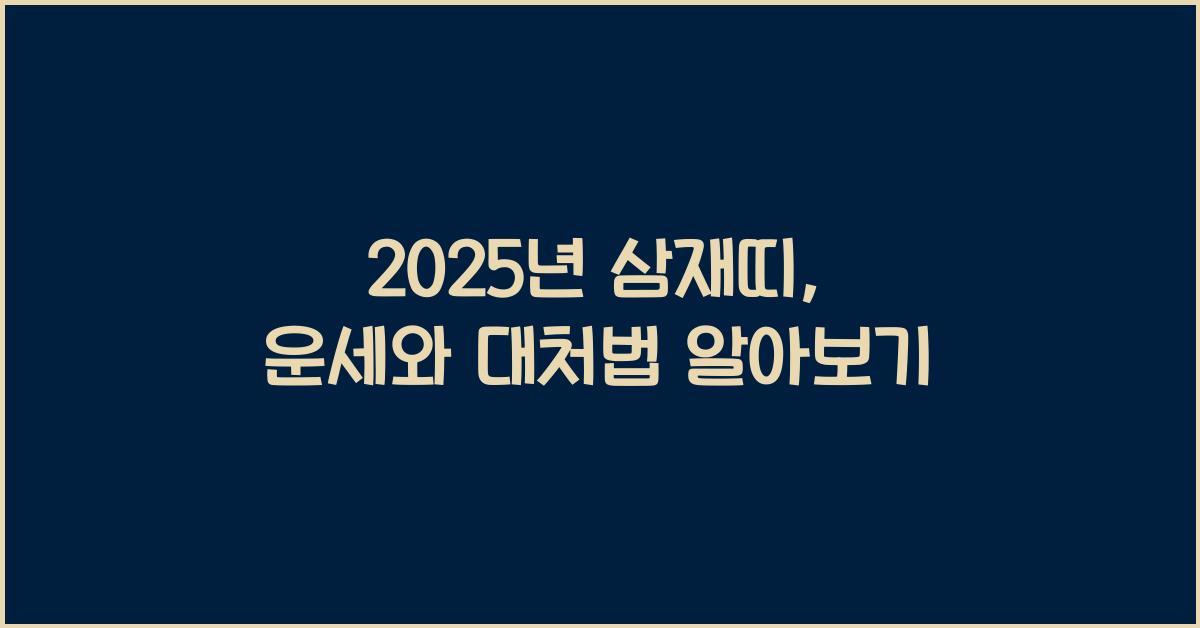2025년 삼재띠
