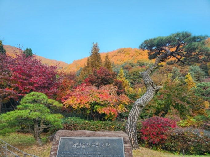 화담숲 예약 100% 성공하는 꿀팁 사진