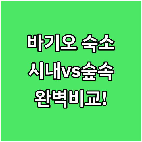 바기오 여행 숙소 고르는 법 시내 중..