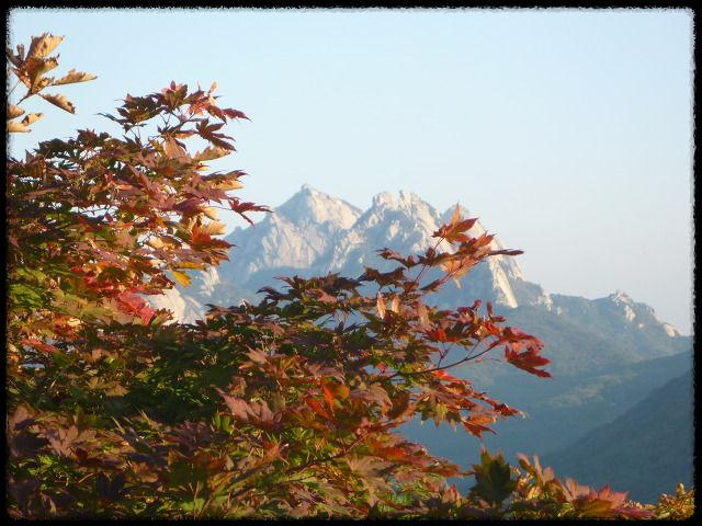 2024 가을&amp;#44; 국내 단풍 명소 추천: 절정 시기와 여행 팁까지 완벽 가이드