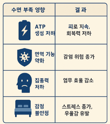 수면 부족이 에너지에 미치는 영향