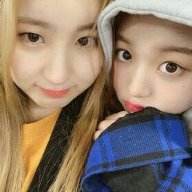 아이즈원 프로듀스48 사진 모음